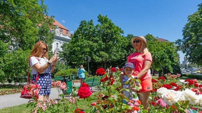 Жара пришла к нам надолго