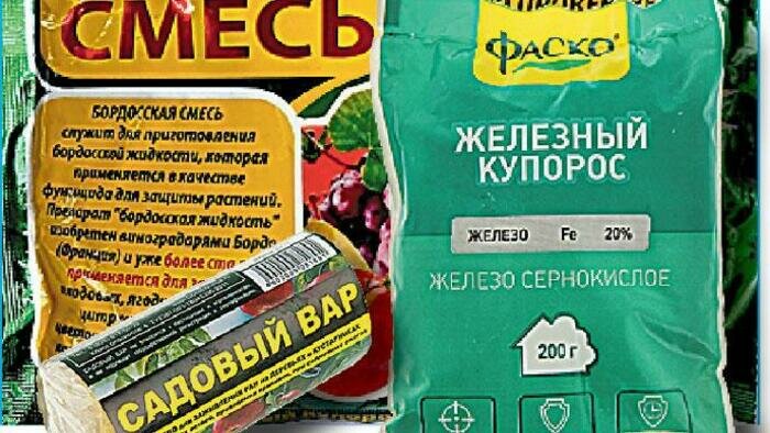 Не пропустите обработку сада 
