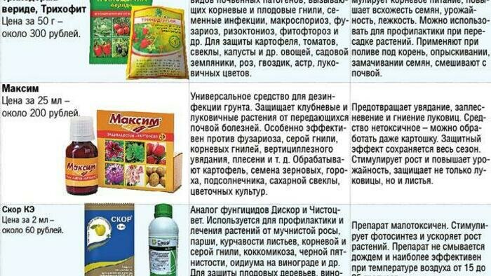 Собираем зеленую аптеку  для овощей, фруктов и цветов