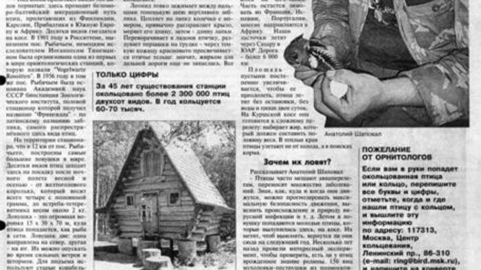 Рэкет у соседей, след Брейвика  и судьба барахолки