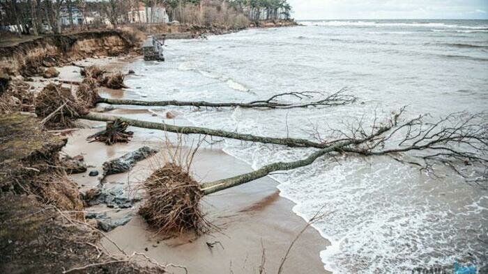 Циклоны порезвились на славу 
