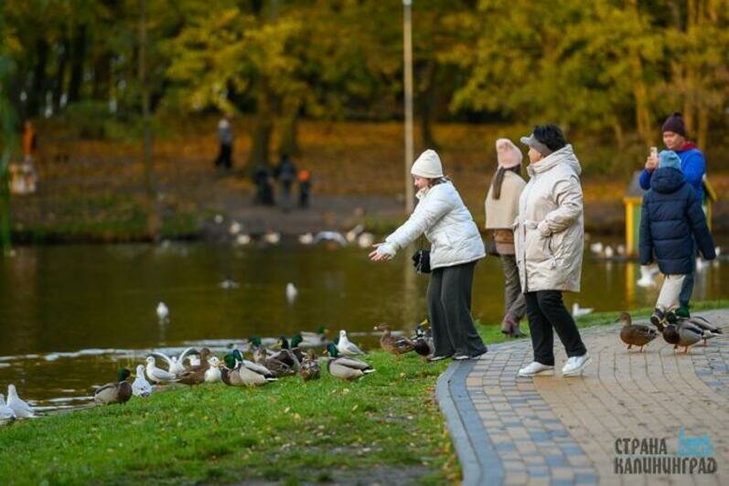 Выходные в Зеленоградске