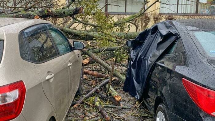 За «Эльзой» пришел «Герхильд» 