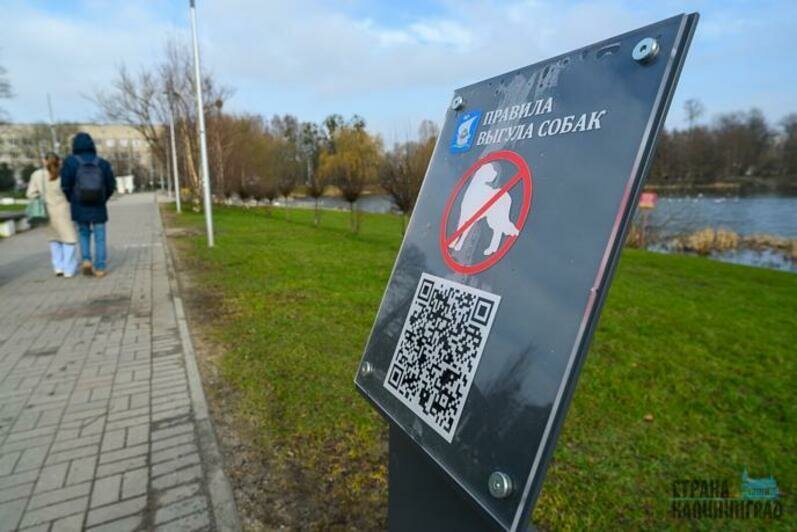На Летнем озере появились качели