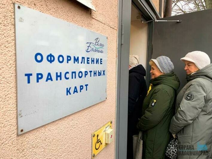 За льготной «Волной Балтики» выстроились льготники. Что случилось и что нужно делать 