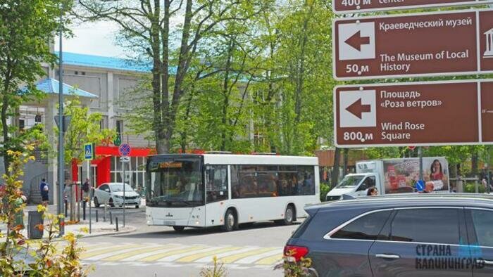 Нужна ли аренда автомобиля жителям Калининграда