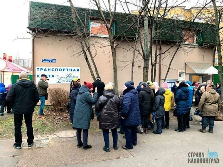 За льготной «Волной Балтики» выстроились льготники. Что случилось и что нужно делать 
