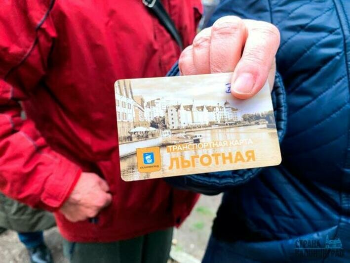 За льготной «Волной Балтики» выстроились льготники. Что случилось и что нужно делать 