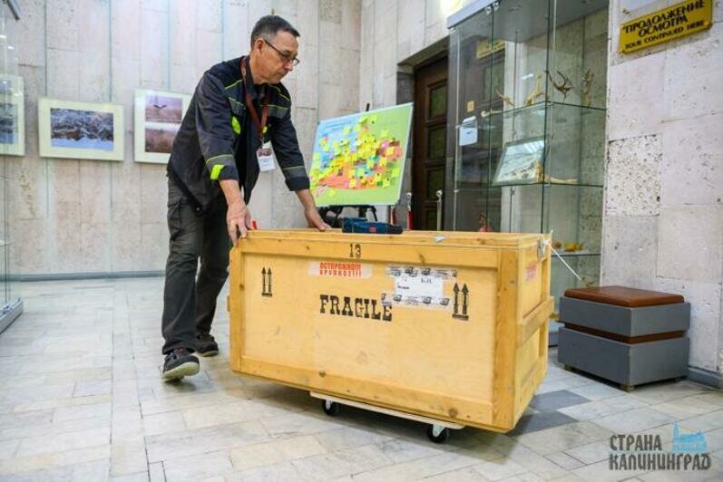 В Калининград привезли шпагу императрицы