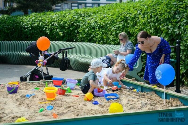 Юные калининградцы и гости города попробовали себя в творческих профессиях 