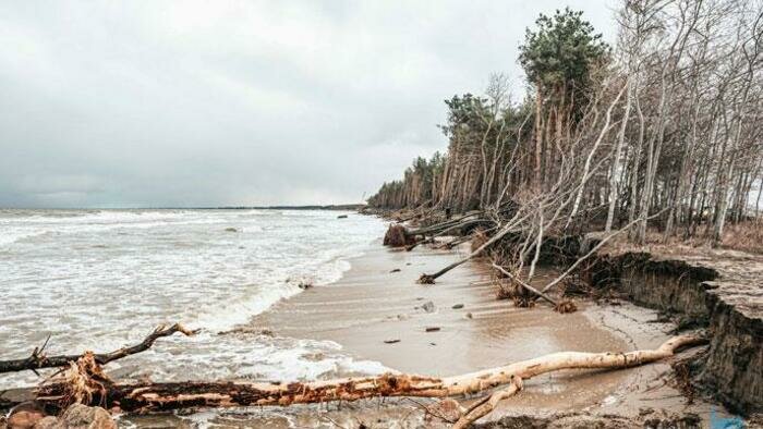 Циклоны порезвились на славу 