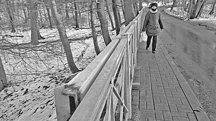 Кондуктора наказали, ограждение убрали, остановку пообещали