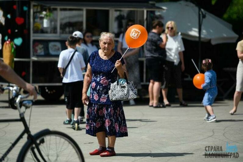 Юные калининградцы и гости города попробовали себя в творческих профессиях 