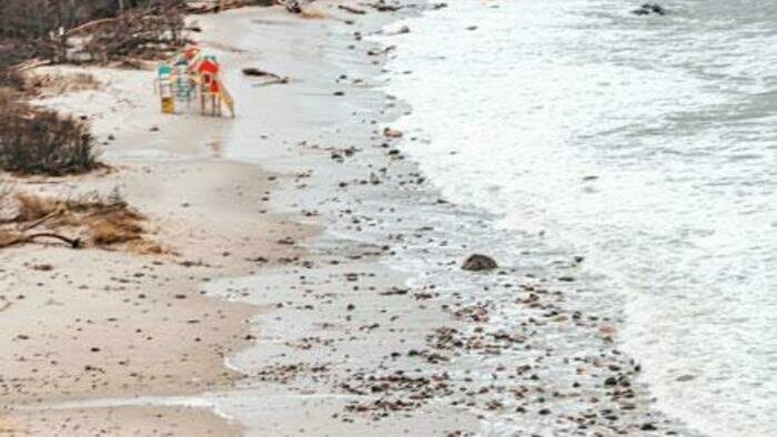 Циклоны порезвились на славу 