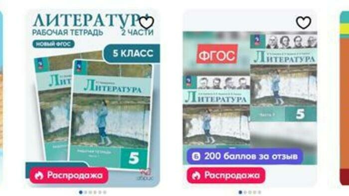 Чем полезна литература в 5-м классе: что она даёт детям