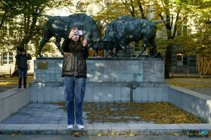 Памятник «Борющиеся зубры» у здания КГТУ | Фото: Александр Мелехов