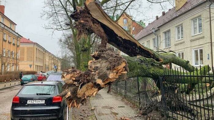 За «Эльзой» пришел «Герхильд» 