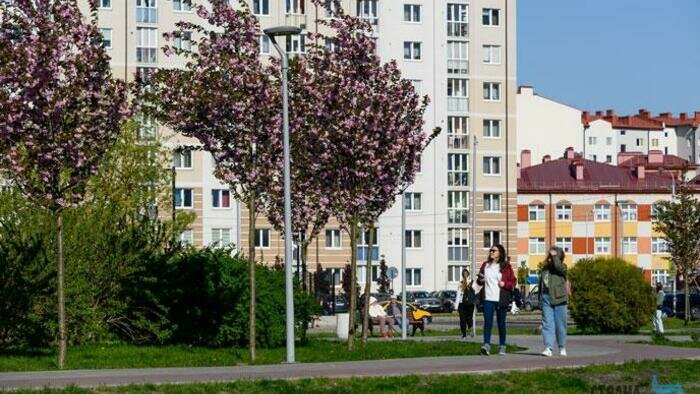 В Калининграде появится IT-парк