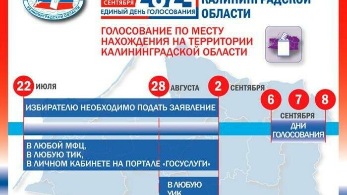 Прием заявлений от тех, кто хочет выбрать удобный избирательный участок на выборах губернатора или проголосовать онлайн, стартовал