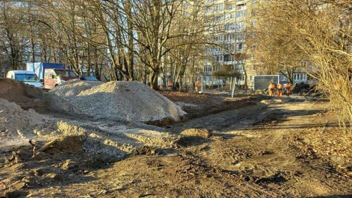 Жители Эльблонгской лишились привычного места для выгула домашних любимцев