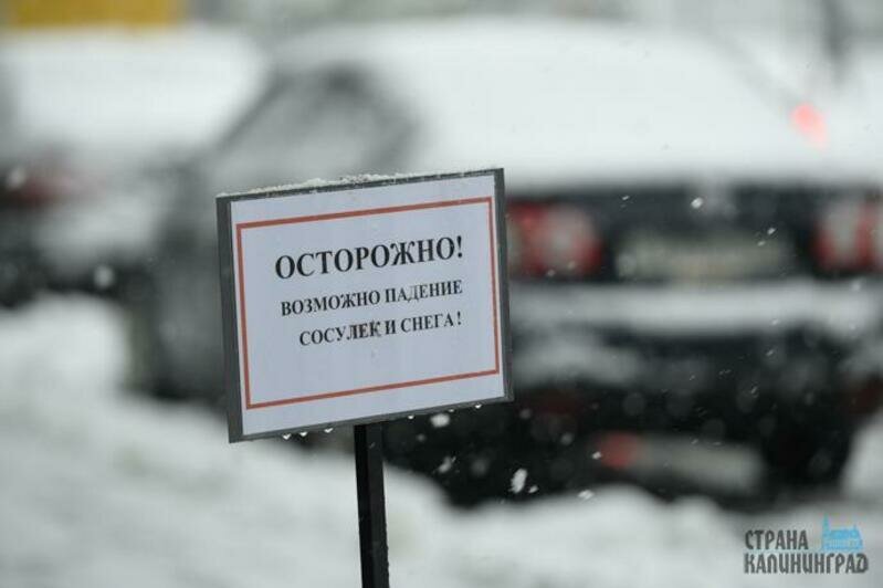 Субботний снегопад в Калининграде 