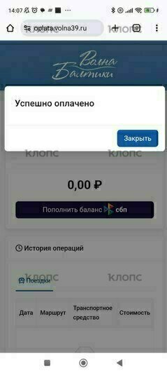 С валидаторов сняли пакеты: в Калининграде запущена новая система оплаты проезда в транспорте (фото) - Новости Калининграда