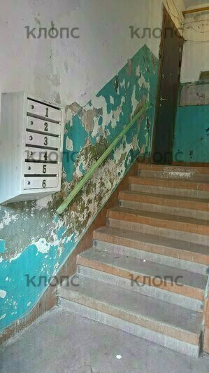 «На потолке чёрная плесень, в подвале крысы»: «Клопс» начинает хит-парад самых убитых калининградских подъездов (фото)   - Новости Калининграда | Фото: очевидцы