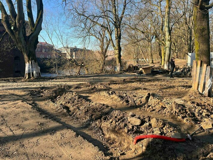 Каштановый парк в Калининграде готовят к обновлению: что ждёт горожан и туристов | Фото: Александр Подгорчук / Архив «Клопс» Каштановый парк в Калининграде готовят к обновлению: что ждёт горожан и туристов | Фото: Александр Подгорчук / Архив «Клопс»