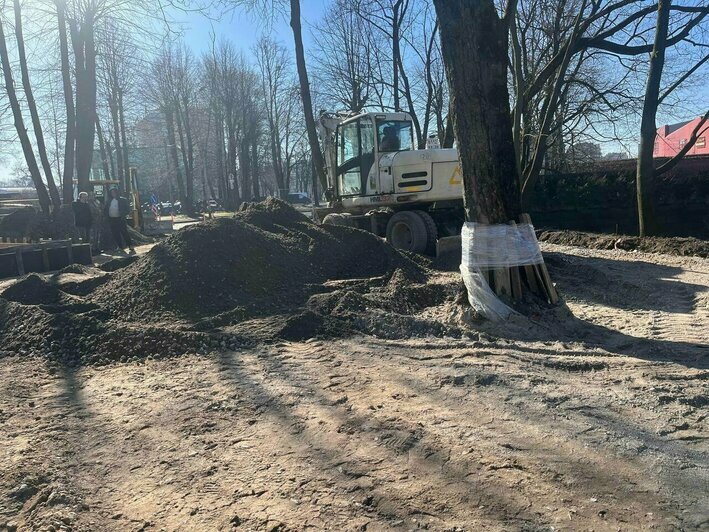 Каштановый парк в Калининграде готовят к обновлению: что ждёт горожан и туристов | Фото: Александр Подгорчук / Архив «Клопс» Каштановый парк в Калининграде готовят к обновлению: что ждёт горожан и туристов | Фото: Александр Подгорчук / Архив «Клопс»