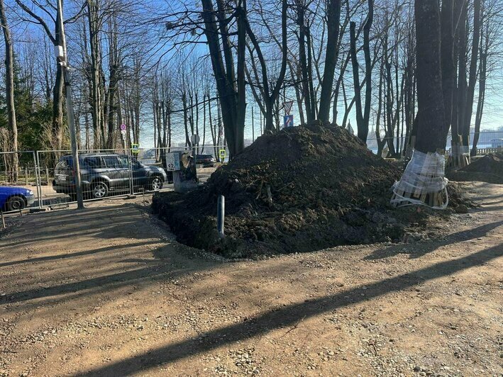Каштановый парк в Калининграде готовят к обновлению: что ждёт горожан и туристов | Фото: Александр Подгорчук / Архив «Клопс» Каштановый парк в Калининграде готовят к обновлению: что ждёт горожан и туристов | Фото: Александр Подгорчук / Архив «Клопс»