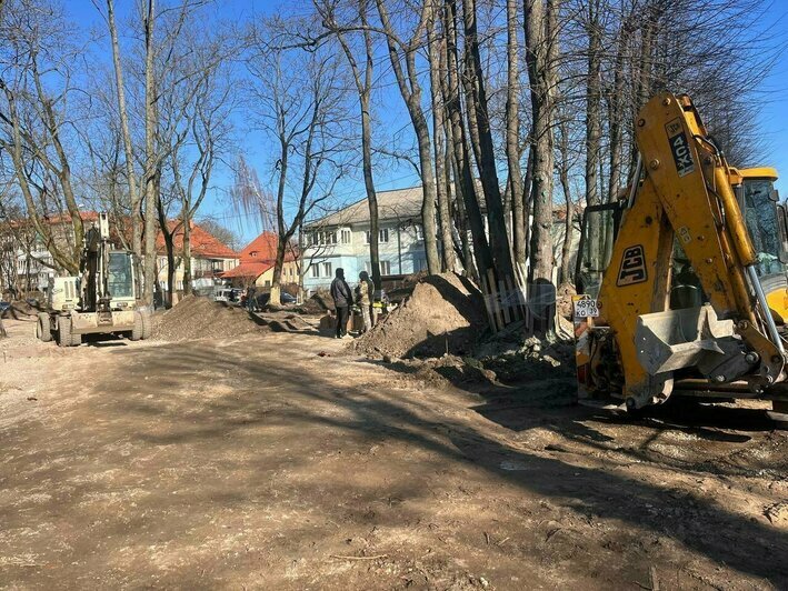 Каштановый парк в Калининграде готовят к обновлению: что ждёт горожан и туристов | Фото: Александр Подгорчук / Архив «Клопс» Каштановый парк в Калининграде готовят к обновлению: что ждёт горожан и туристов | Фото: Александр Подгорчук / Архив «Клопс»