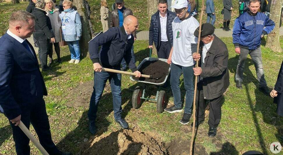 В парке Победы в Полесске высадили 80 клёнов в память о героях отечества    - Новости Калининграда | Фото: Софья Курбатова / «Клопс»
