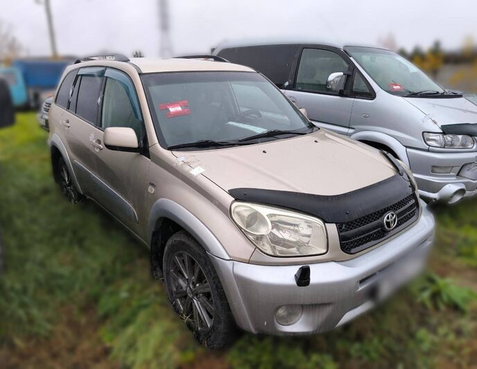 Интерпол опознал автомобиль по «детским фотографиям» из Японии — 17 лет назад его угнали у москвички  - Новости Калининграда | Фото: УМВД Иркутской области 