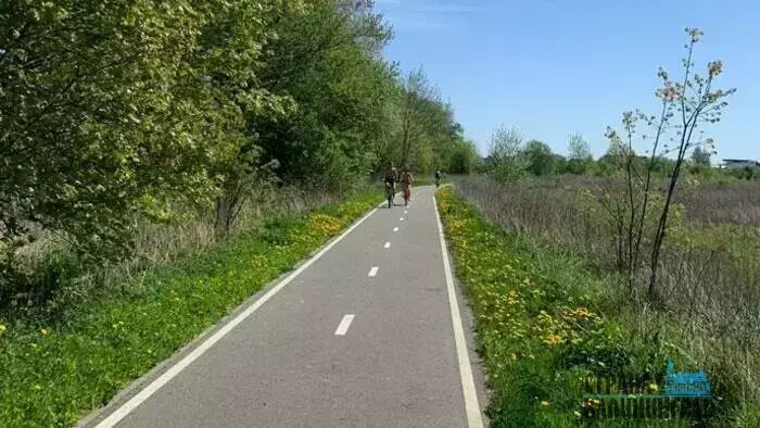 В сезон на участке велодорожки между Зеленоградском и Пионерским многолюдно | Фото: Оксана Сазонова