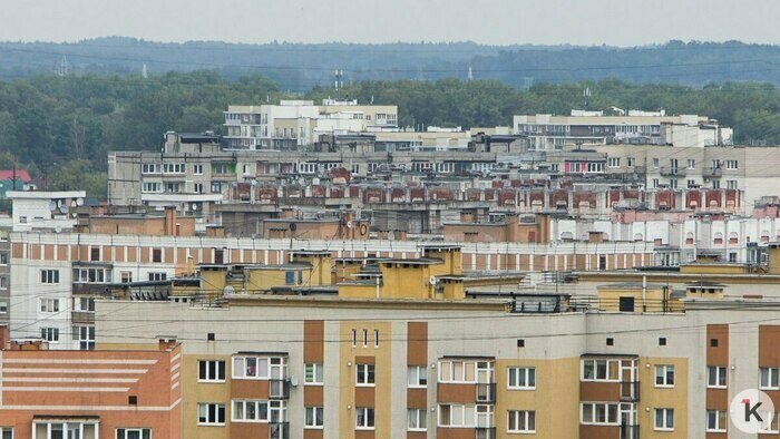 Драма с отоплением, трагедия на зебре и белорусские мечты. События недели, которые обсуждали в Калининграде   - Новости Калининграда | Фото: Александр Подгорчук / Архив «Клопс»