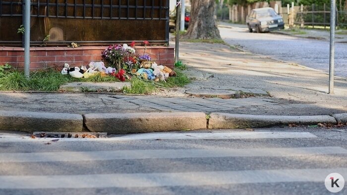 Драма с отоплением, трагедия на зебре и белорусские мечты. События недели, которые обсуждали в Калининграде   - Новости Калининграда | Фото: Александр Подгорчук / Архив «Клопс»