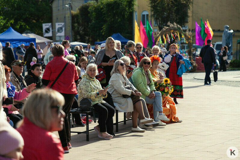 Пир на весь парк. В Пионерском прошла ярмарка «Краски осени» (фото) - Новости Калининграда | Фото: Светослав Ярый
