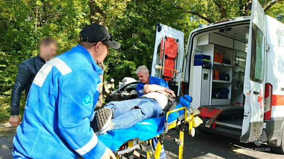 Водителя легковушки, которая под Балтийском влетела в дерево, из салона доставали спасатели - Новости Калининграда | Фото: МЧС региона