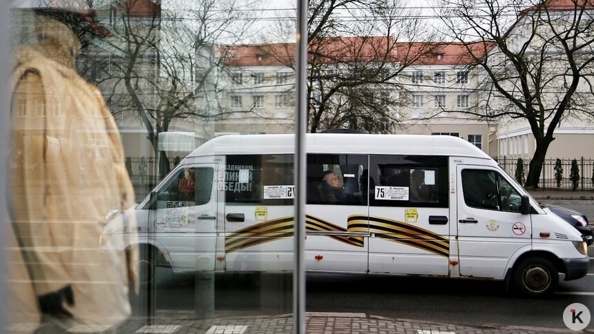 Калининградцы составили петицию за возвращение 75-й маршрутки, которую не смог заменить автобус - Новости Калининграда | Фото: Александр Подгорчук / Архив «Клопс»