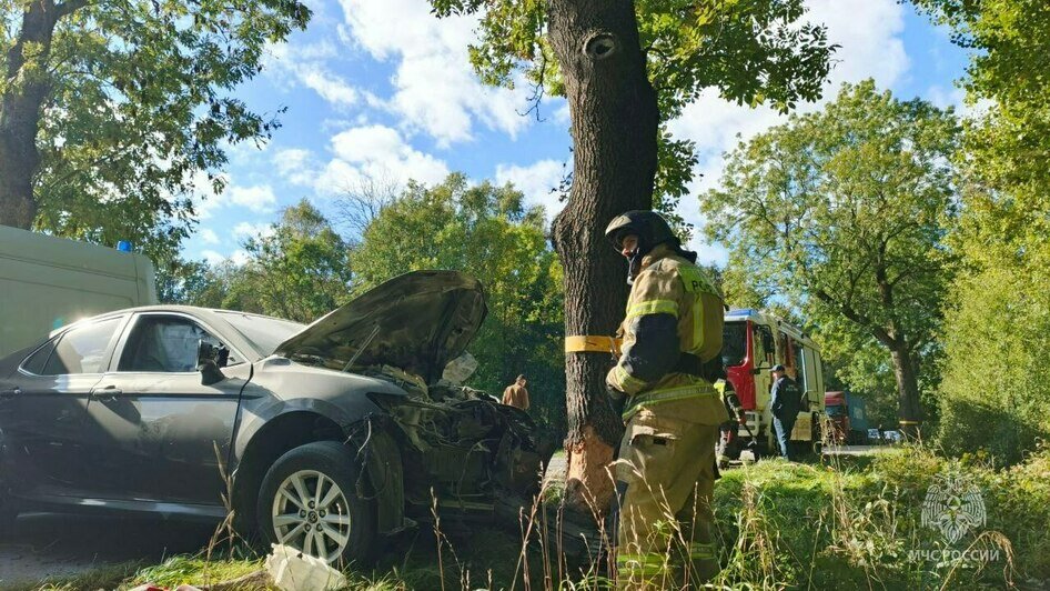 Водителя легковушки, которая под Балтийском влетела в дерево, из салона доставали спасатели - Новости Калининграда | Фото: МЧС региона