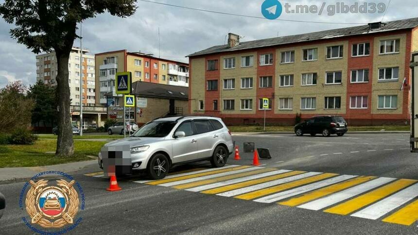 В Гурьевске сбили 9-летнего мальчика на пешеходном переходе  - Новости Калининграда | Фото: Госавтоинспекция Калининградской области