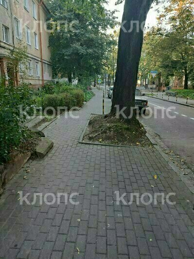 «За что так с нами?»: в Калининграде разметка навела шороху на тихой улице (фото) - Новости Калининграда | Фото читателя