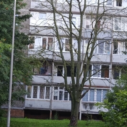 Хит-парад потенциальных деревьев-убийц в Калининграде и области, часть 7   - Новости Калининграда | Фото: очевидцы