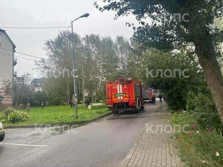 Погибшая под Калининградом пенсионерка с трудом ходила и не успела выбраться из горящей квартиры (фото)   - Новости Калининграда | Фото: Прокуратура Калининградской области, очевидец