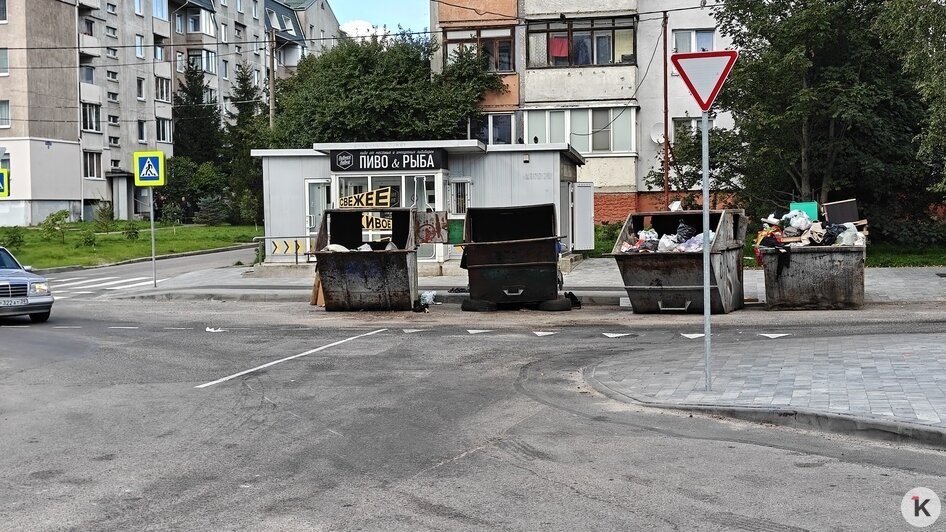 Бунт кесок. 4 места в Калининграде, где мусорки встали поперёк дороги людям и машинам - Новости Калининграда | Фото читателя