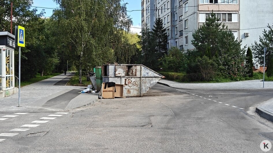 Бунт кесок. 4 места в Калининграде, где мусорки встали поперёк дороги людям и машинам - Новости Калининграда | Фото читателя