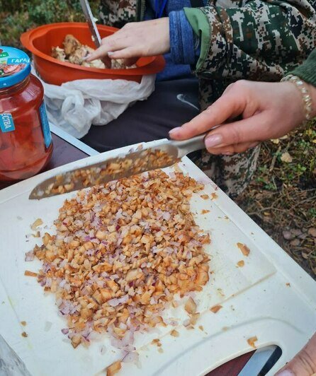 На востоке Калининградской области собирают сосновые рыжики, но их сезон заканчивается (фото) - Новости Калининграда | Фото: канал «Грибы и грибники Калининградской области»