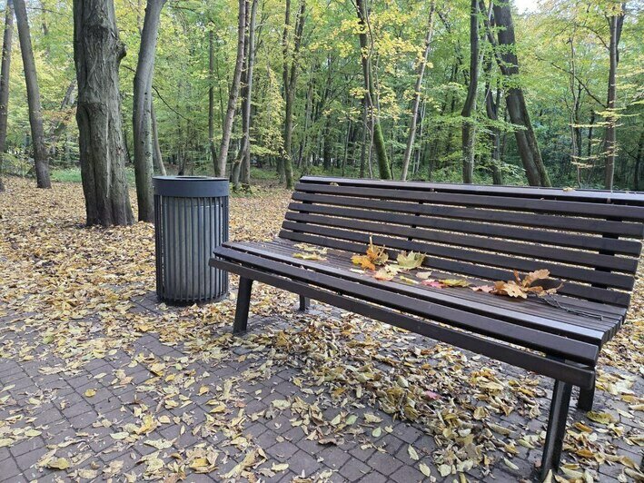 «У нас уже всё облетело». Туристы потянулись в Калининград за золотой осенью и назвали ещё 5 плюсов такой поездки - Новости Калининграда | Фото: Надежда