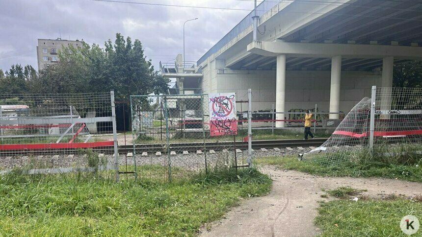 На Сельме снова сломали забор, который мешает ходить через железную дорогу (фото) - Новости Калининграда | Фото: «Клопс»