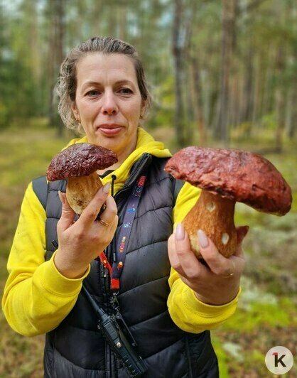 На востоке Калининградской области собирают сосновые рыжики, но их сезон заканчивается (фото) - Новости Калининграда | Фото: канал «Грибы и грибники Калининградской области»